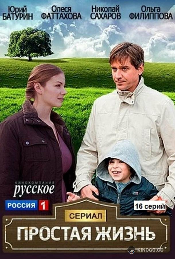 Простая жизнь  (2013)