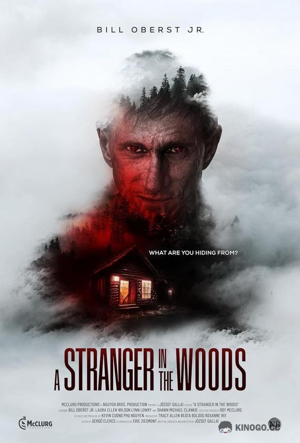Незнакомец в лесу A Stranger in the Woods (2024)
