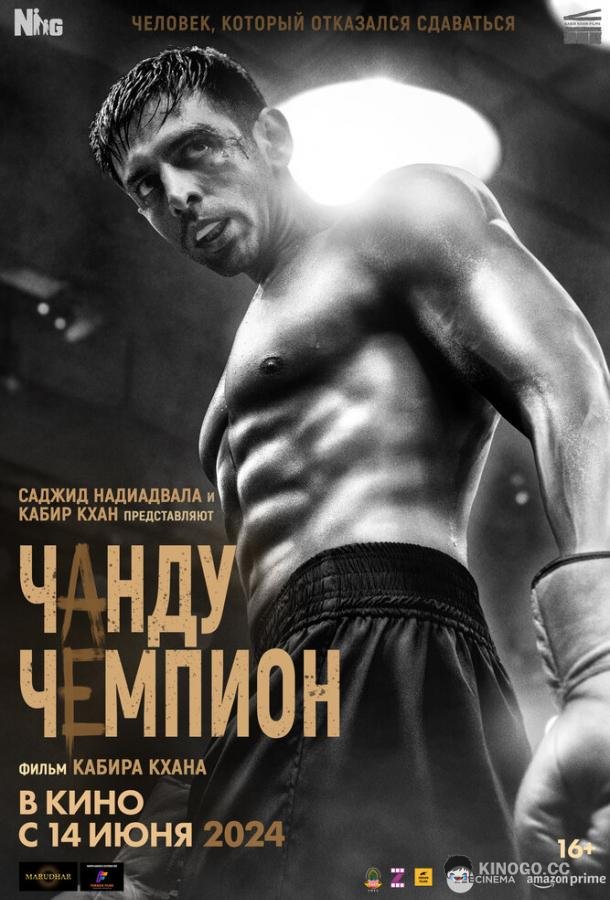 Чанду – чемпион Chandu Champion (2024)