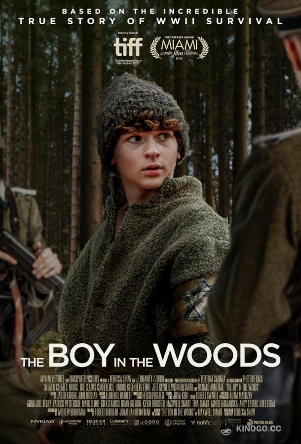 Мальчик в лесу The Boy in the Woods (2023)