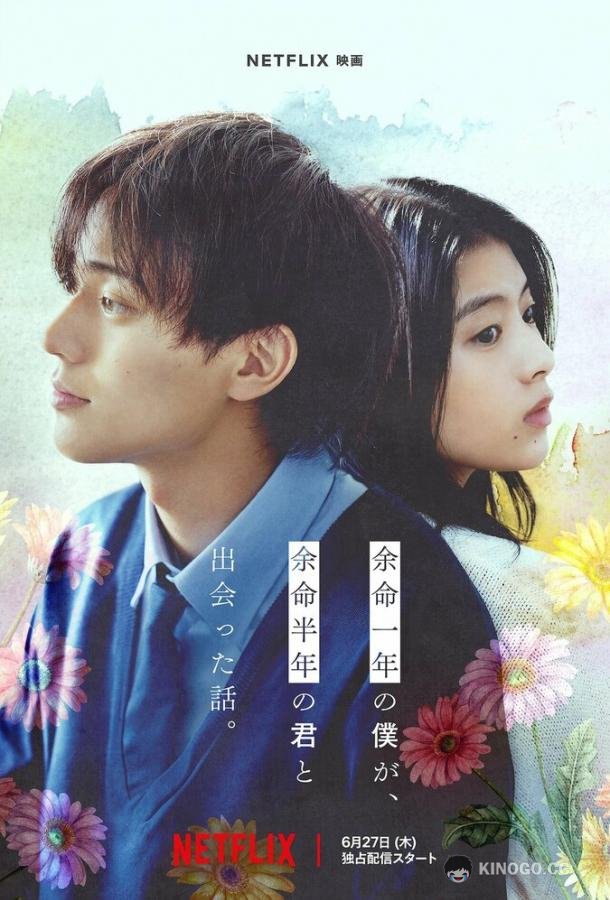 За год до смерти я встретил тебя Yomei Ichinen no Boku ga, Yomei Hantoshi no Kimi to Deatta Hanashi (2024)