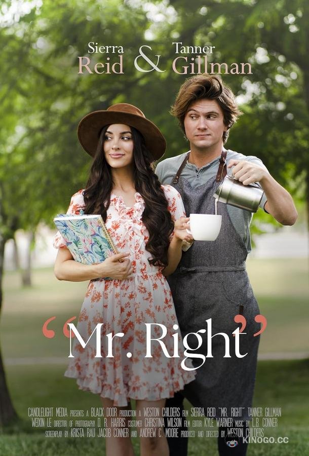 Идеальный мужчина Mr. Right (2023)