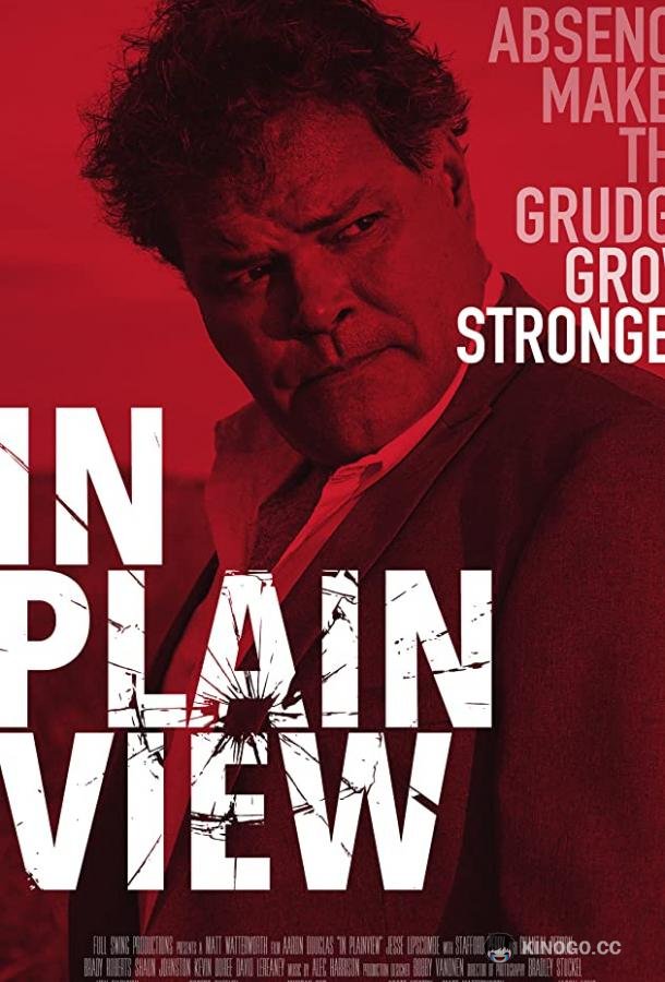В Плэйнвью In Plainview (2018)