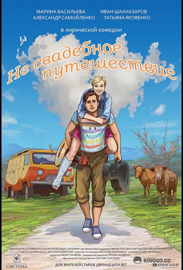 Не свадебное путешествие  (2015)