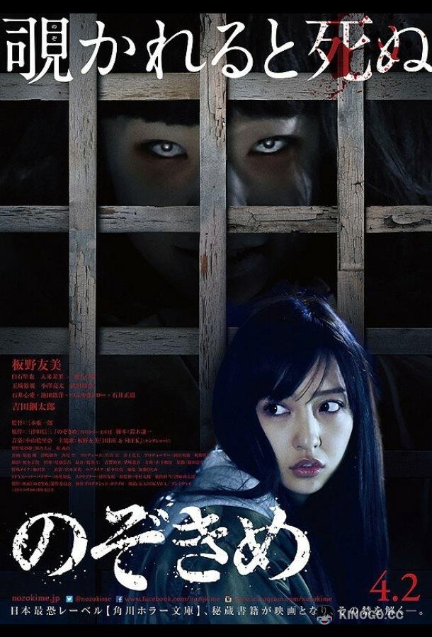 Пристальный взгляд Nozokime (2016)