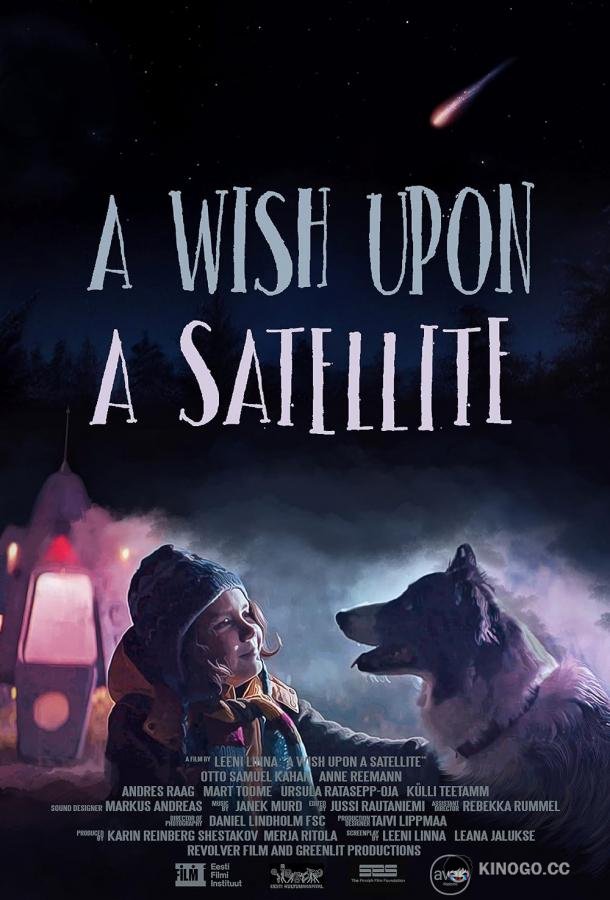 Подарок с орбиты A Wish Upon a Satellite (2021)