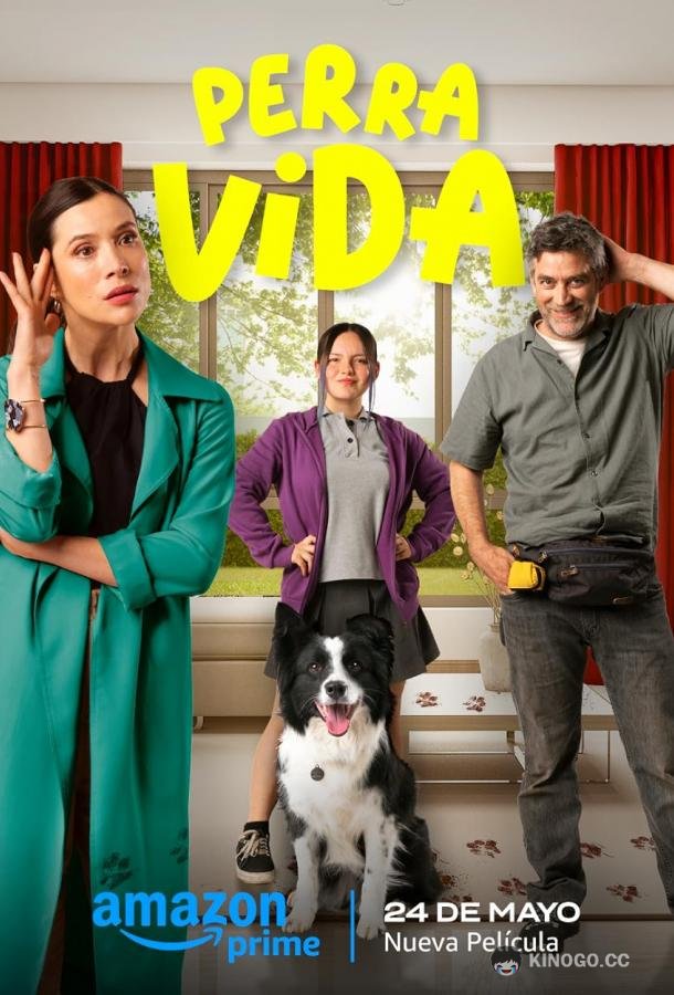 Собачья жизнь Perra Vida (2024)
