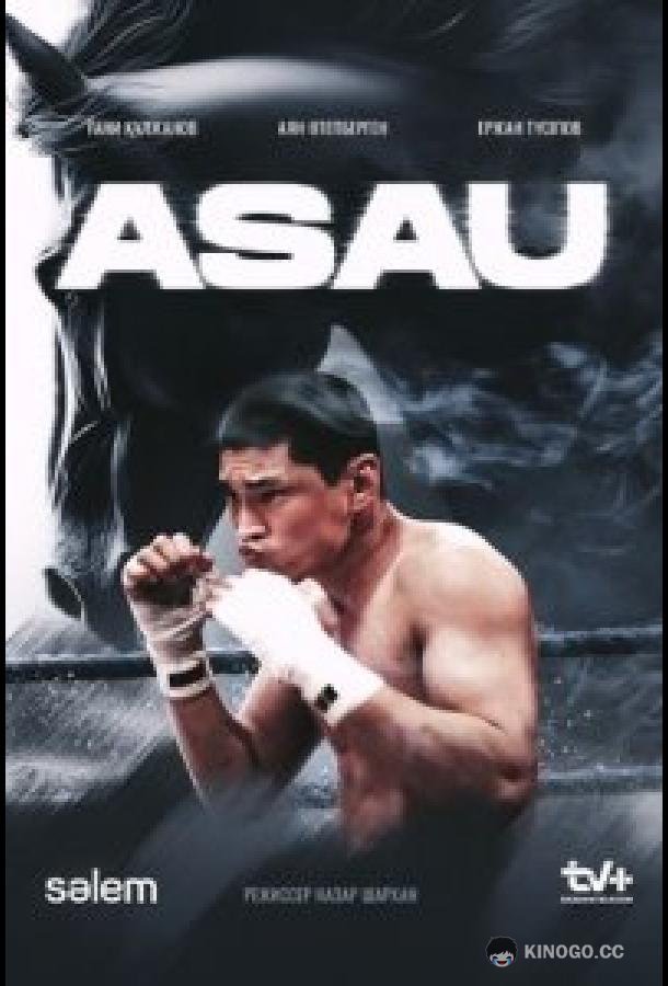 АСАУ Asau (2024)