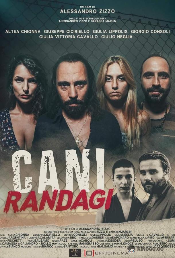 Бродячие псы Cani randagi (2023)