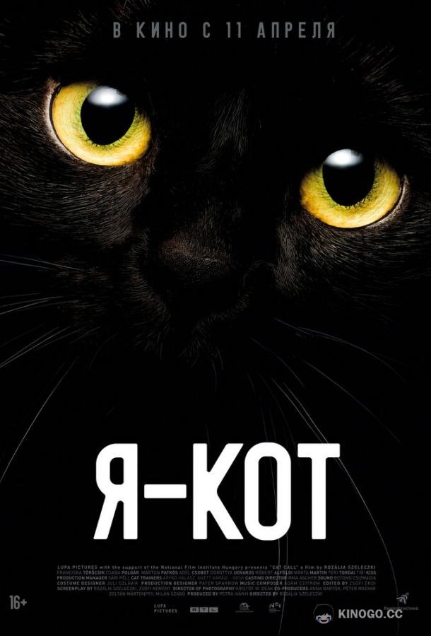 Я — кот Cicaverzum (2023)