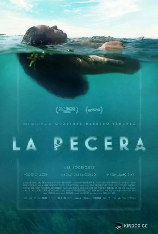 Аквариум La Pecera (2023)