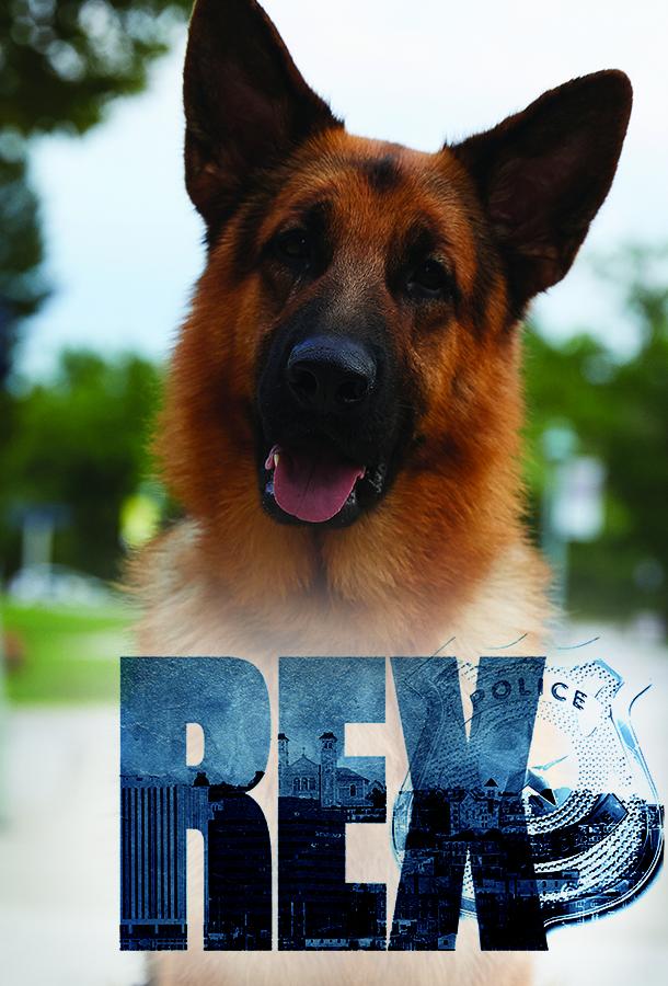 Хадсон и Рекс Hudson & Rex (2019)