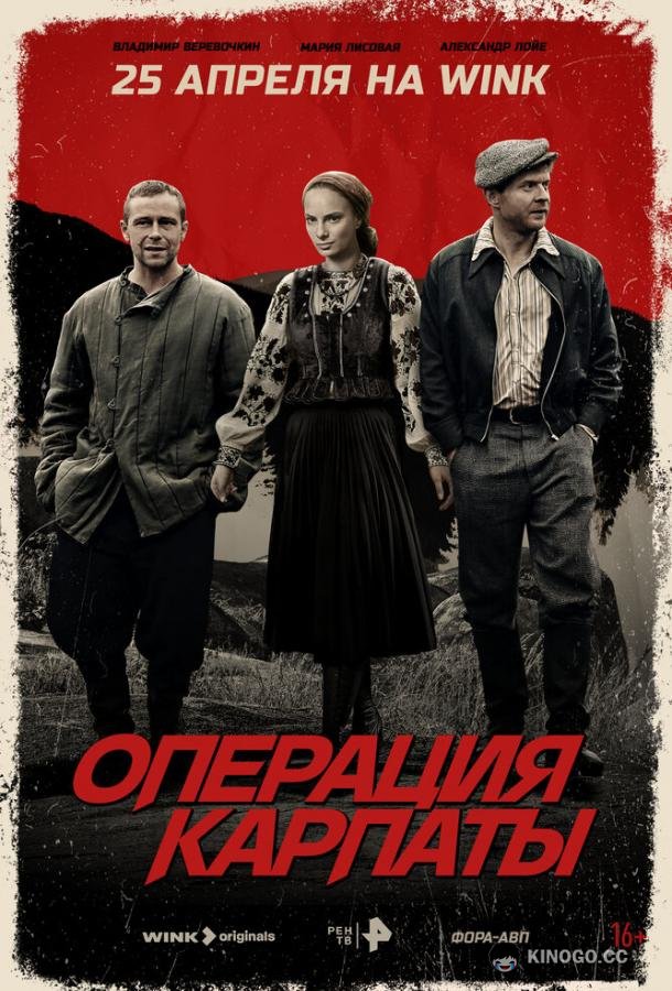 Операция «Карпаты»  (2024)