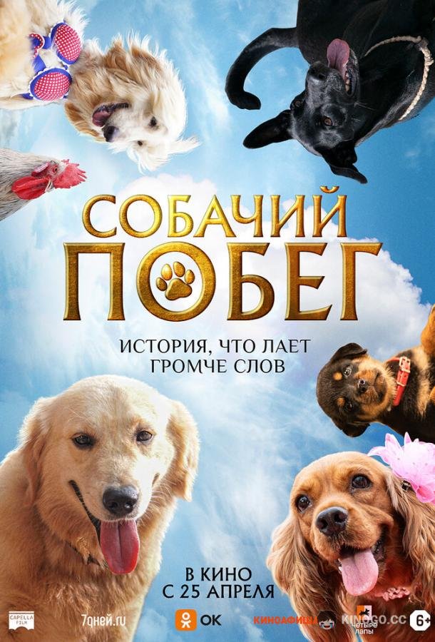 Собачий побег Valatty (2023)