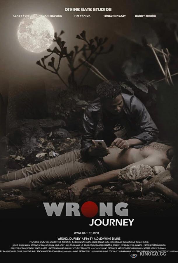 По ложному пути Wrong journey (2024)
