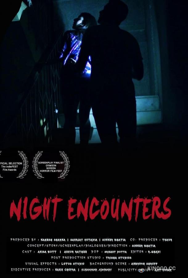 Ночные встречи Night Encounters (2023)