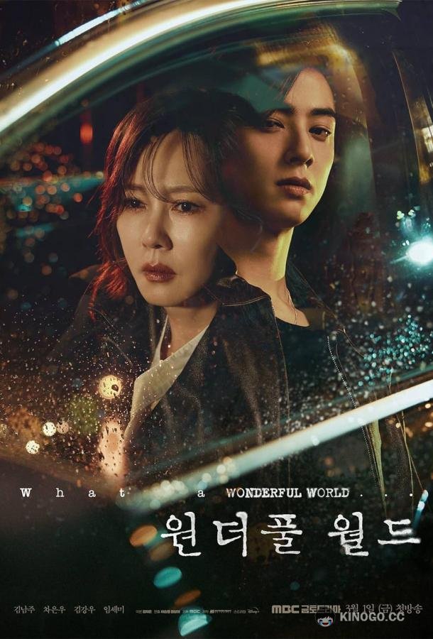 Чудесный мир Wonderful World (2024)