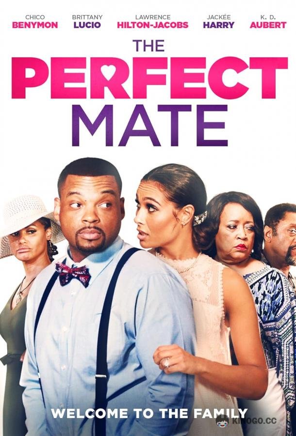 Идеальный партнёр The Perfect Mate (2020)