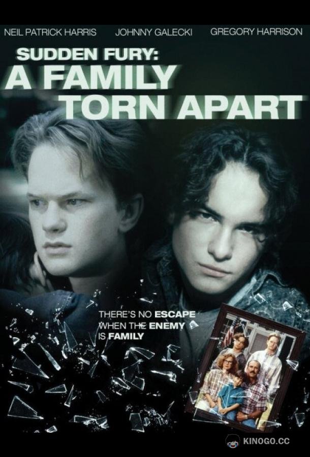 Внезапная ярость A Family Torn Apart (1993)