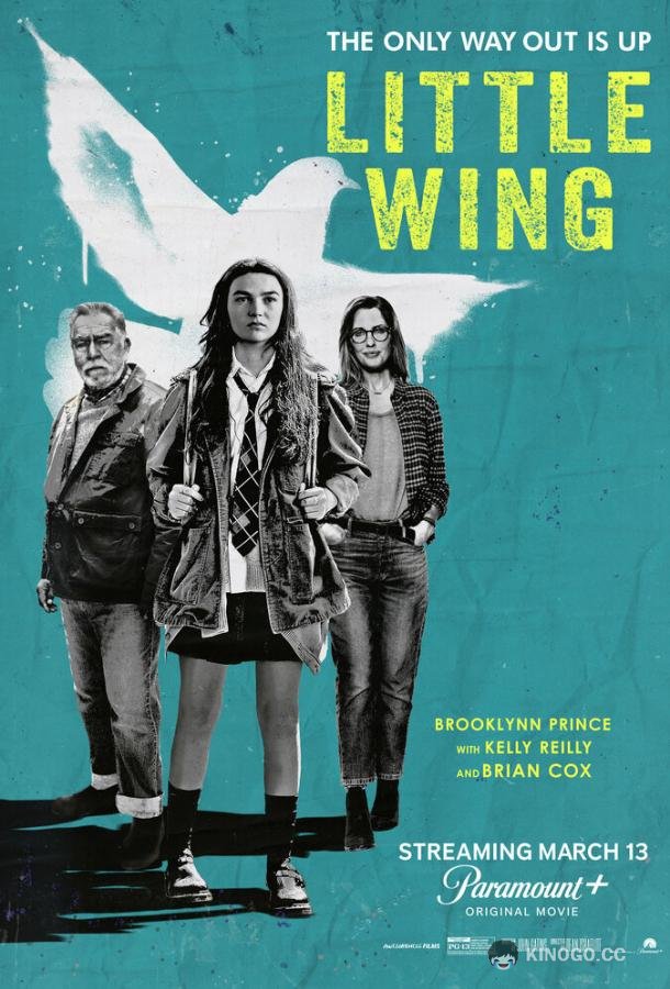 Маленькое крылышко Little Wing (2024)