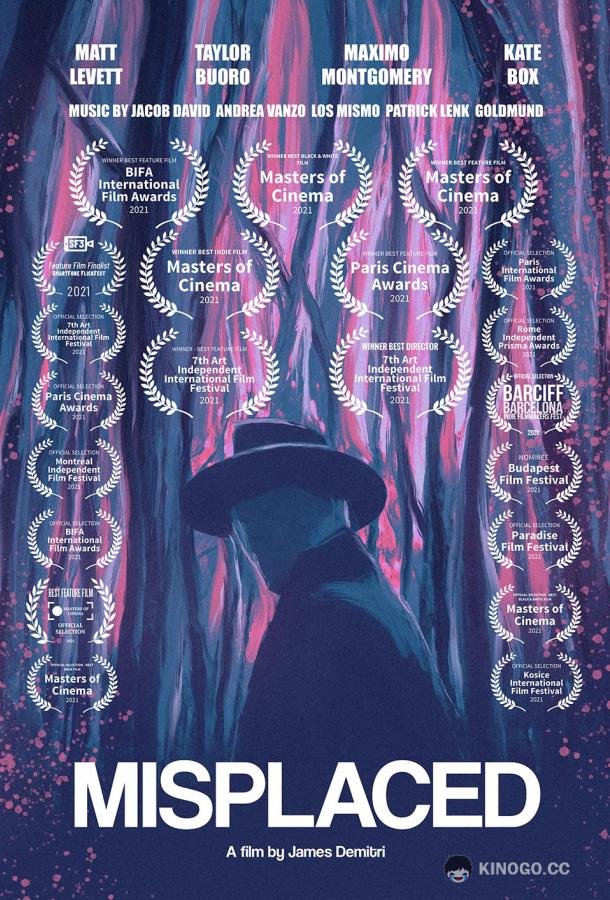 Потерянный Misplaced (2022)