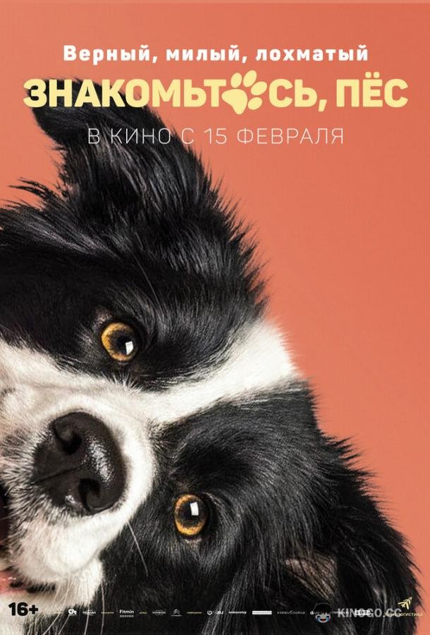 Знакомьтесь, пёс Řekni to psem (2022)