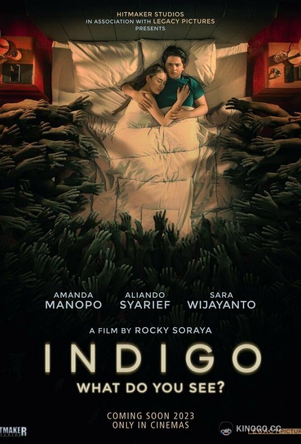 Индиго Indigo (2023)