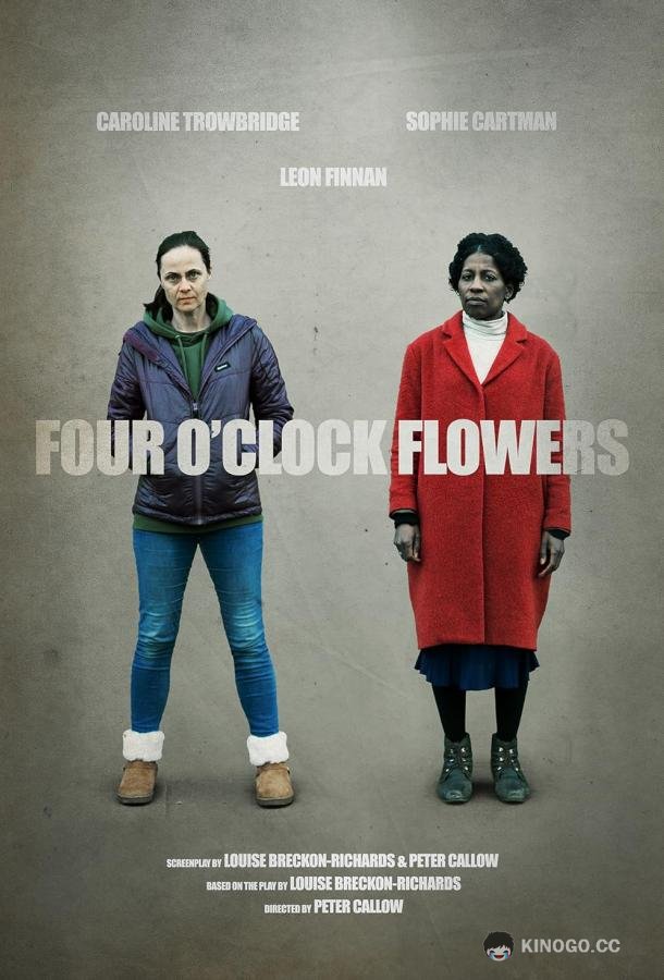 Цветы на четыре часа Four O'Clock Flowers (2022)