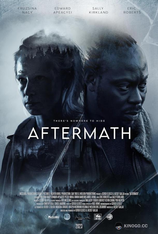 Отголосок Aftermath (2024)