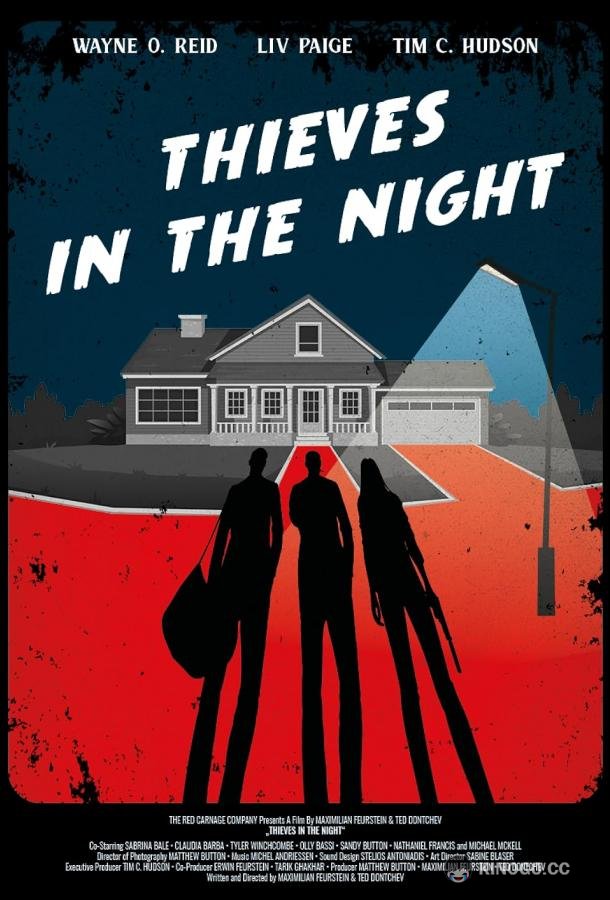 Воры в ночи Thieves in the Night (2023)