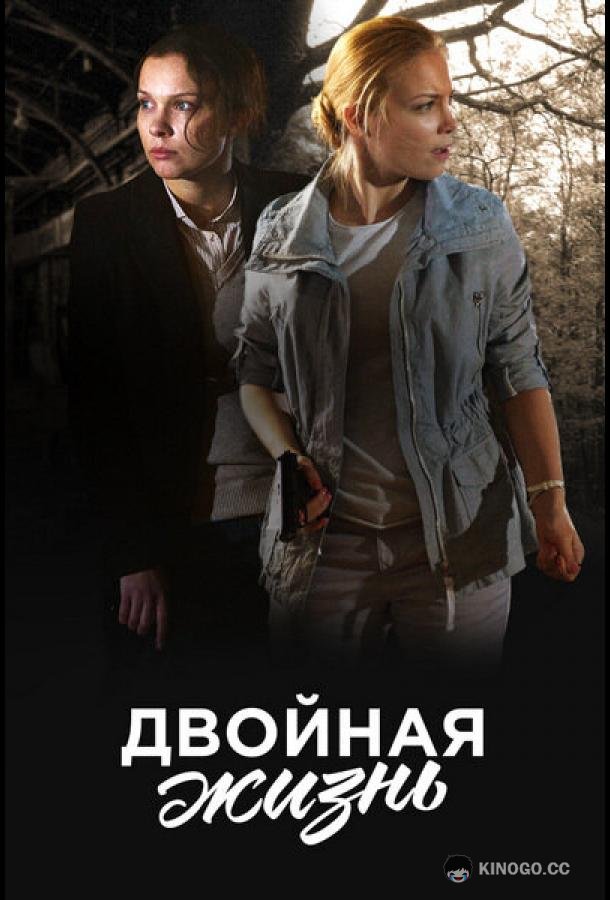 Двойная жизнь  (2017)