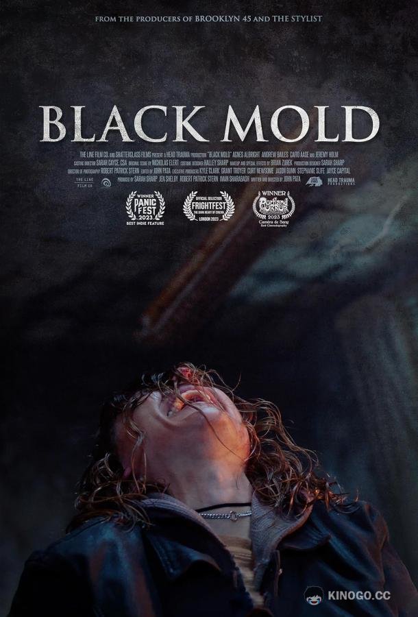 Чёрная плесень Black Mold (2023)