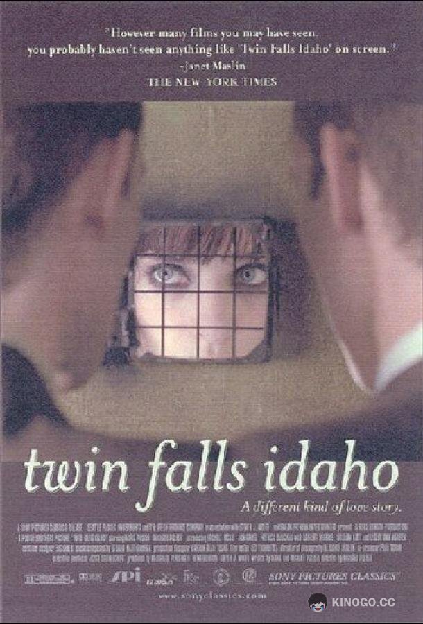 Близнецы из Айдахо Twin Falls Idaho (1999)