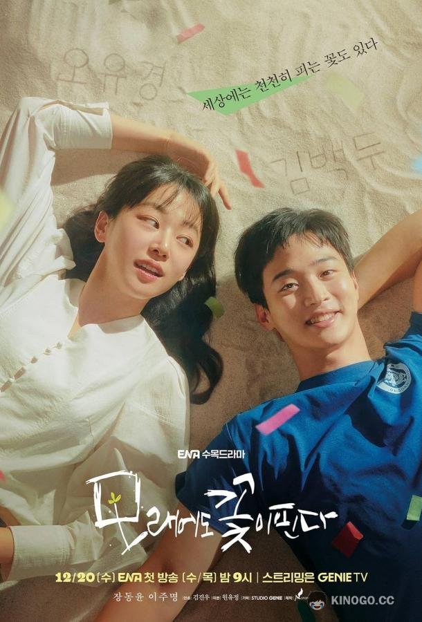 Цветы расцветают даже на песке The Sand Flower (2023)
