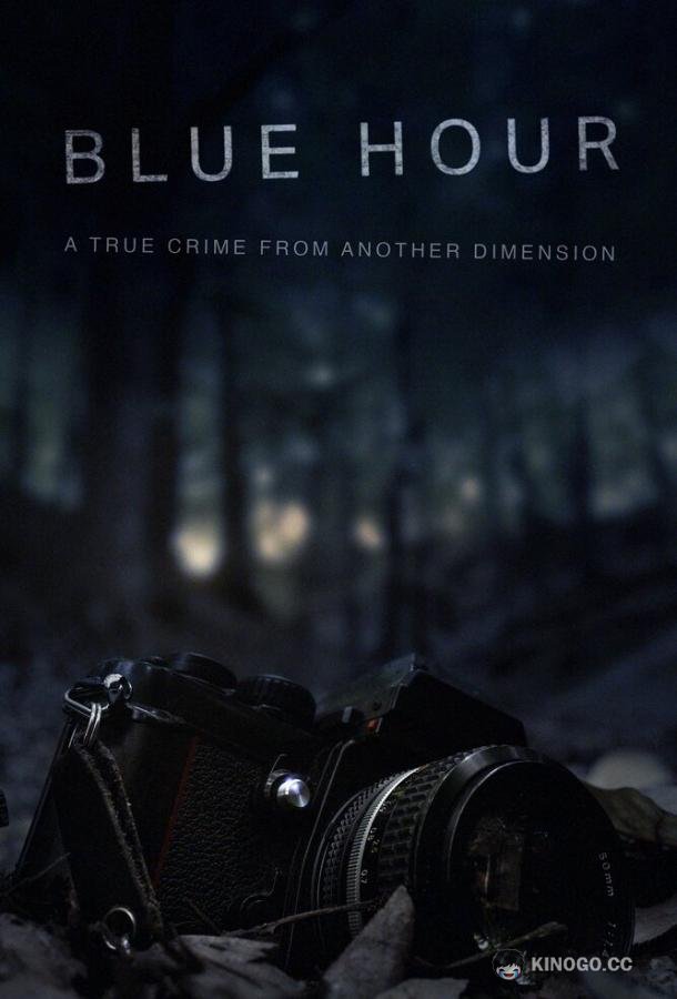 Сумерки: Исчезновение Ника Брандрета Blue Hour: The Disappearance of Nick Brandreth (2023)