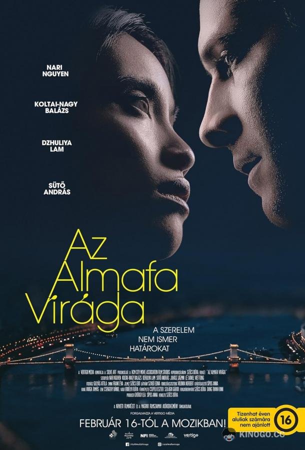 Цветок яблони Az almafa virága (2023)