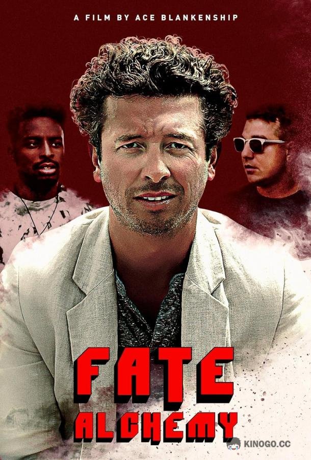 Алхимия судьбы Fate Alchemy (2022)