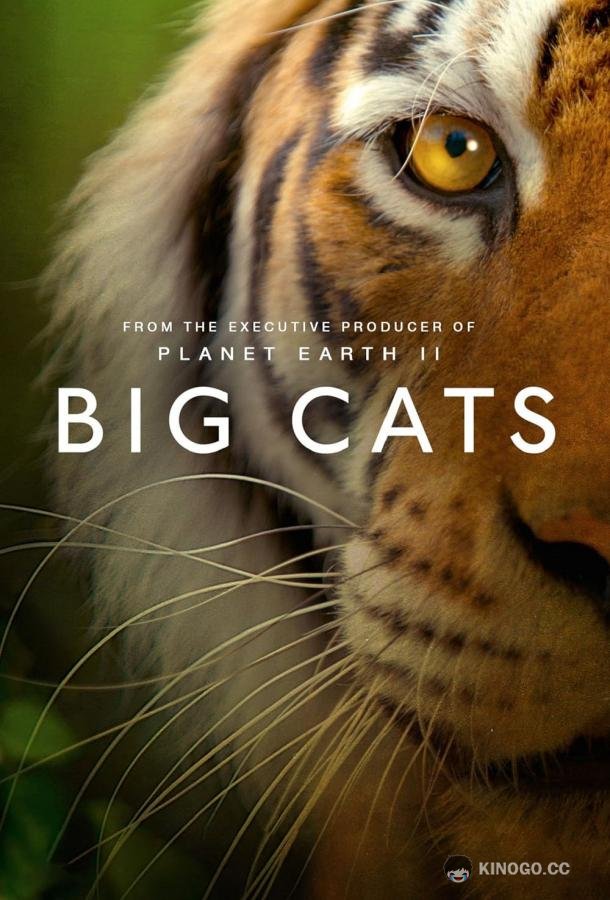 Большие кошки Big Cats (2018)