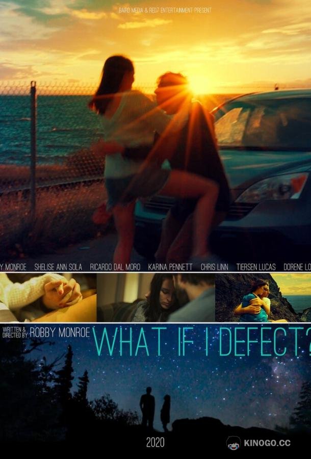 Что, если я отступлю? What if I Defect? (2020)