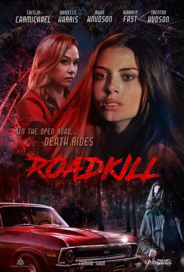 Смерть на дорожку Roadkill (2024)