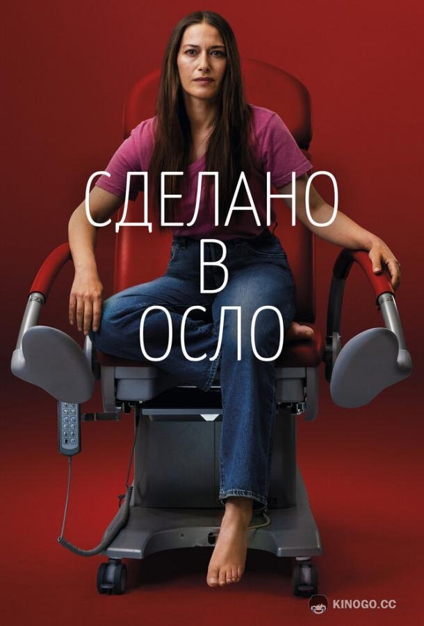 Сделано в Осло Made in Oslo (2022)