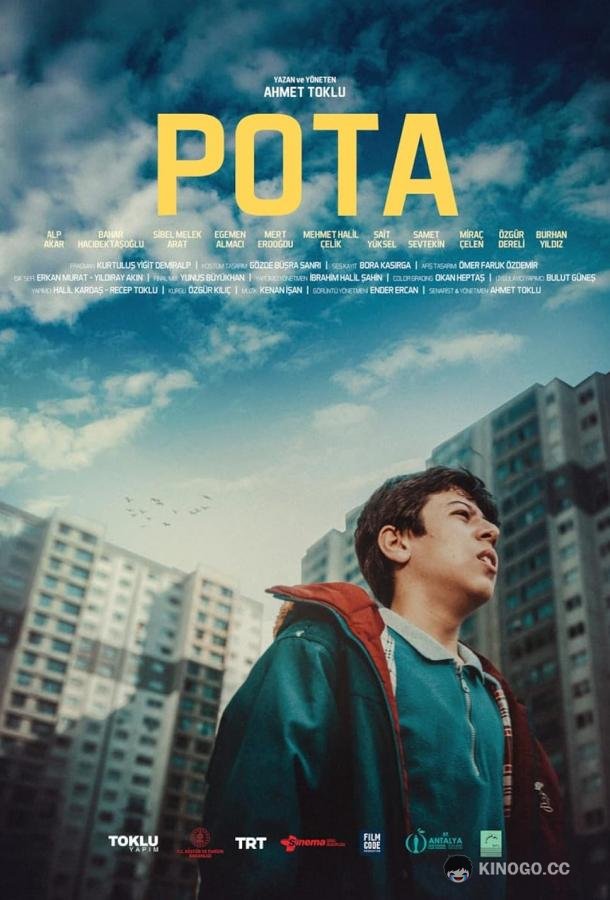 Баскетбольное кольцо Pota (2021)