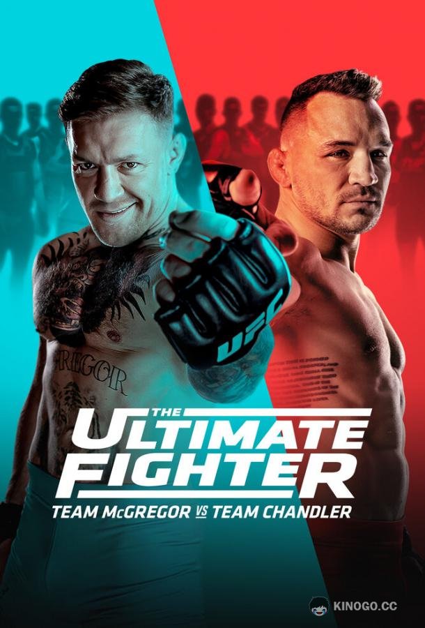 Универсальный боец The Ultimate Fighter (2005)