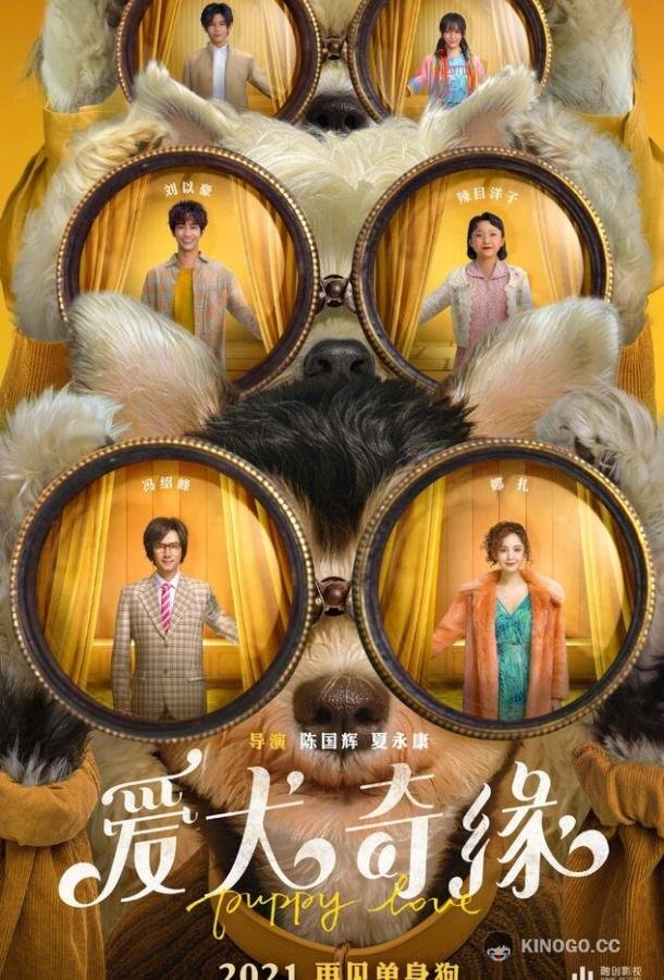 Щенячья любовь Ai quan qi yuan (2022)