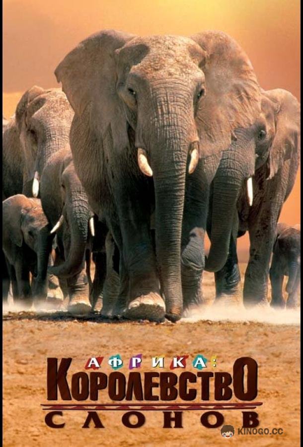 Африка — королевство слонов Africa's Elephant Kingdom (1998)