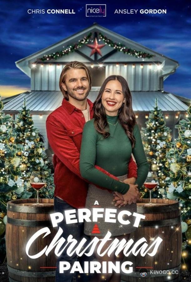 Идеальное рождественское сочетание A Perfect Christmas Pairing (2023)