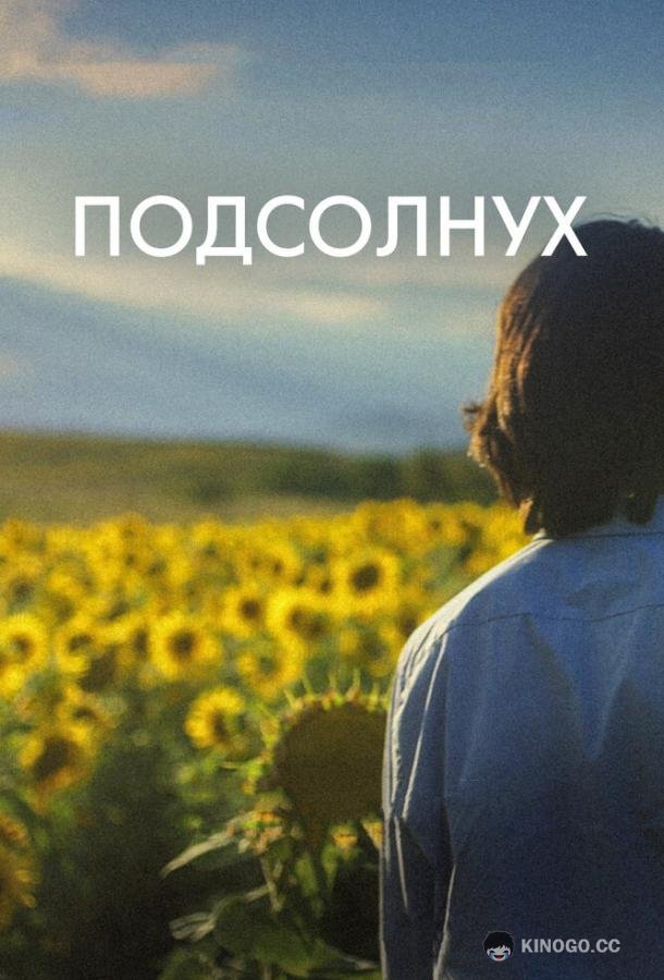 Подсолнух Sunflower (2023)