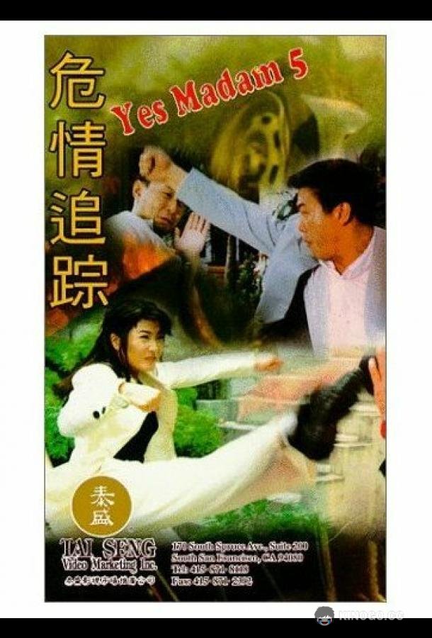 Да, мадам 5 Wei qing zhui zong (1996)