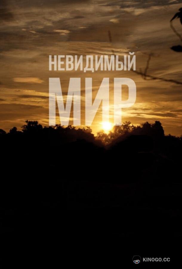 Невидимый мир Mundo Invisível (2012)