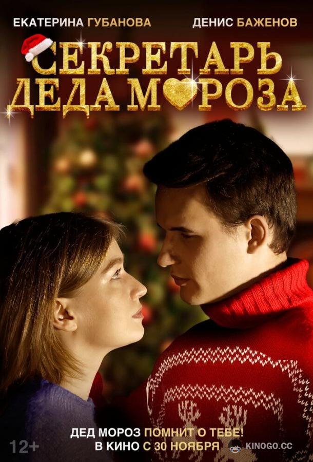 Секретарь Деда Мороза  (2023)